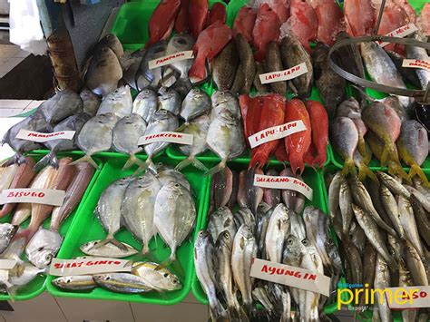 gutob fish in tagalog|Market Guide to Common Fishes in the Philippines.